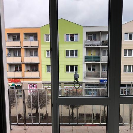 Apartament Kosciuszki Malbork Extérieur photo