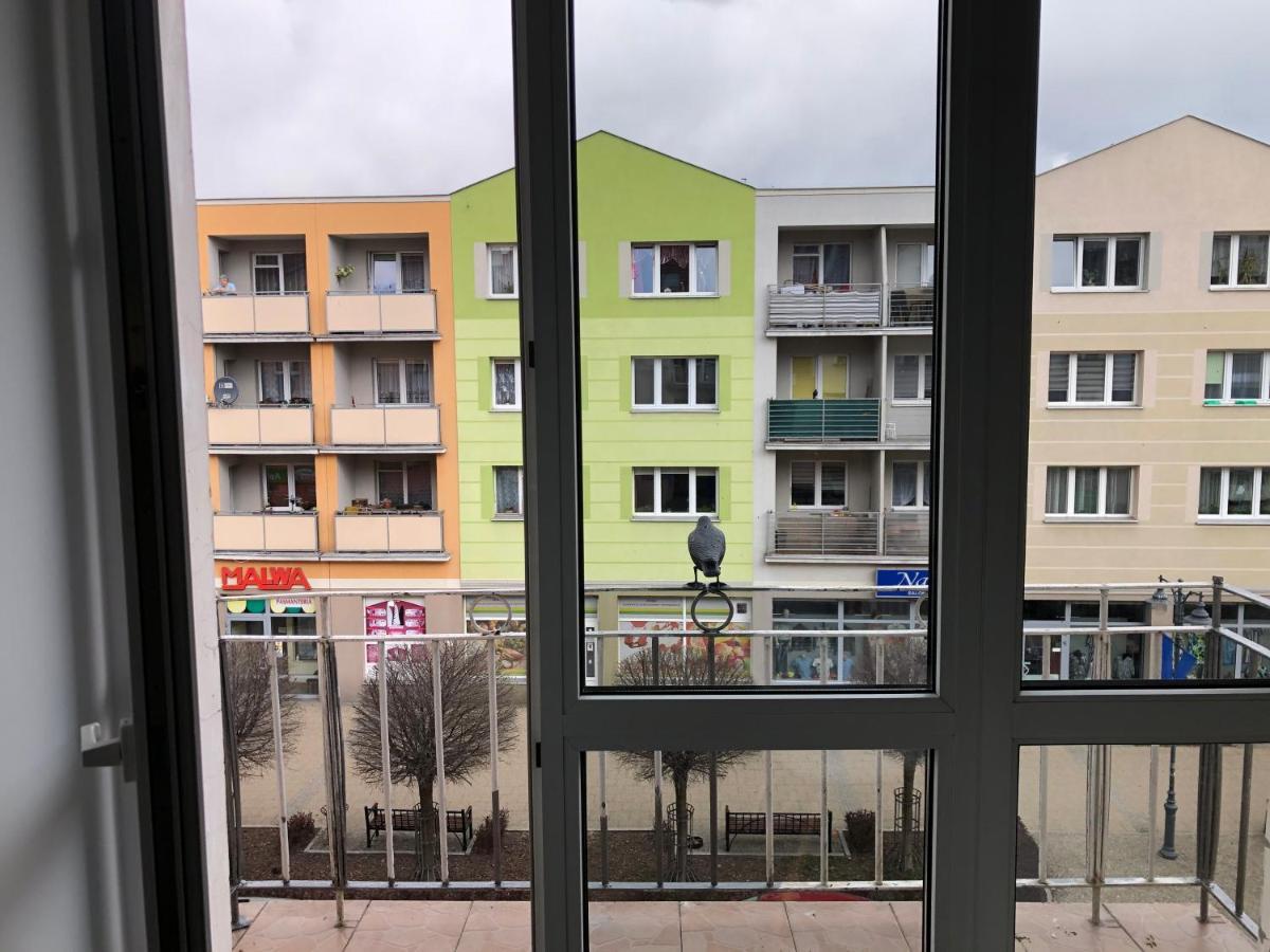 Apartament Kosciuszki Malbork Extérieur photo